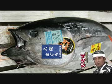 【孤独のライダー】第四話 青森県西津軽郡深浦町のマグステ丼 前編