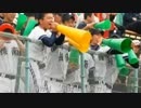 シクラメン　♪エール　～2013　KKB 高校野球　鹿児島大会 テーマソング～