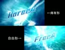 【本格的水泳兄メ】Horee!【比較VAN】