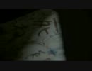 ω±⊇Tょﾚ￡σяёﾚヽ`⊂ 1/6