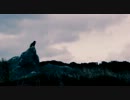 White Moth Black Butterfly - Certainty