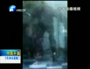 中国で飼育員がアシカをめった打ちに！