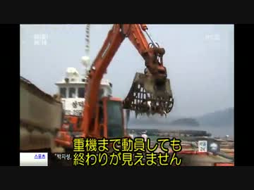 【韓国TV】1千万尾の魚が死亡！赤潮で韓国漁業壊滅の危機（日本語字幕）