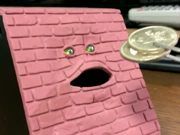 餌をあげてみた