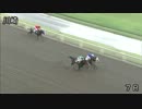 2013年7月25日川崎競馬7R 新星（しんせい）特別(2歳-1組) ウィンカイザー