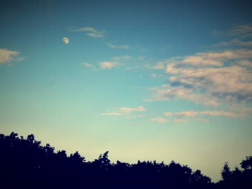 【佐香智久】バイバイ 歌ってみた