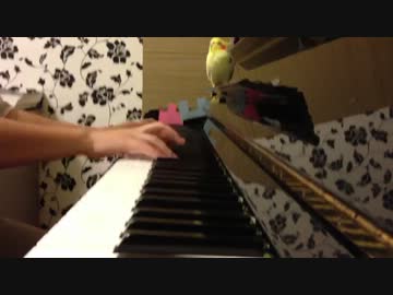 「オツキミリサイタル」を弾いてみた【ピアノ】