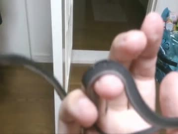 初心者 新しい蛇さんお迎え ドラゴンスネーク ニコニコ動画