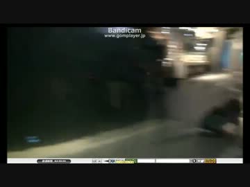 ダイオウグソクムシたん　飛翔　1