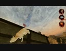 空から猫が落ちてきた・・・