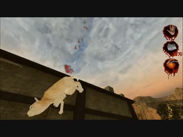 空から猫が落ちてきた・・・