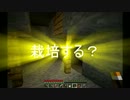 【Minecraft】DiamonDust【part15】