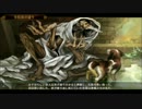 ドラゴンズクラウン　うっかり字幕プレイ15