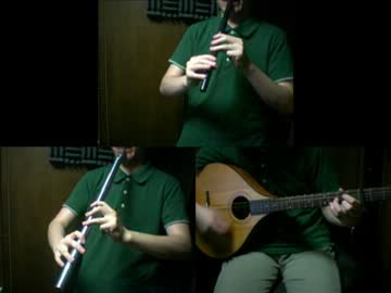 「ゴールデンパラシュート」をアイリッシュ楽器等で演奏してみた。