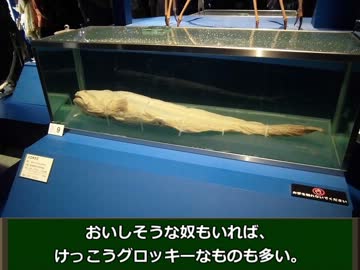 【日本一周】フられた彼女への思いを断ち切る旅　-day.1-【CB400SF】