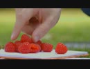ピクミン3 海外版TVCM　２