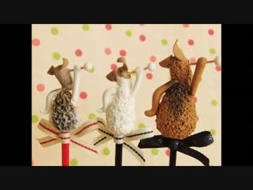 【ささやき】耳かき動画【テスト】