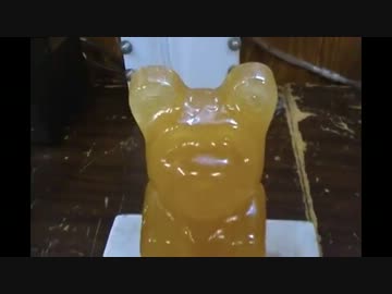 【グミベア】グミでできたクマにニッケルを乗せる