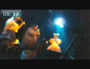 2007年11月25日　Cos de Live