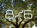 【8月6日】 最後の世界樹 【菊田裕樹】