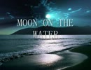 TVアニメ『BECK』ED「MOON ON THE WATER」を歌ってみました。by バサラ