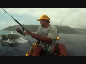 釣ったマグロをサメに奪われる【衝撃映像】