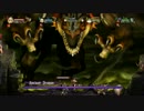 ドラゴンズクラウン　うっかりCOOPプレイ最終回【前編】
