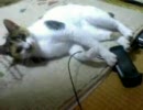 素手は危険です