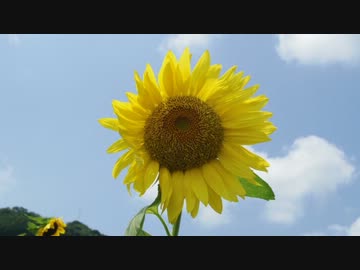 ７４８で行こう！　上半期ソロツー【山口中部】