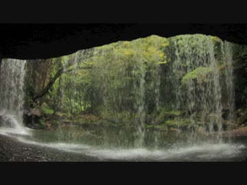 ハッカASMR 無言【耳で浴びる森林浴】賑やかな滝道から徐々に山奥へ＊自然音・バイノーラル録音