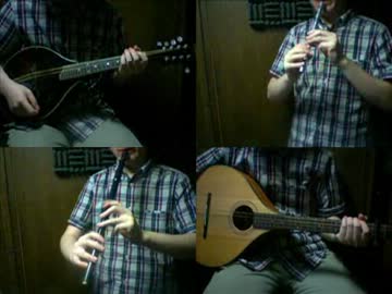 東方妖々夢「幽雅に咲かせ、墨染の桜」アイリッシュ楽器で演奏してみた