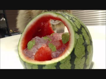 【冷たい料理祭】スイカポンチ作ってみた【料理】