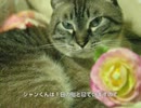 ジャンくんのリラックスタイム