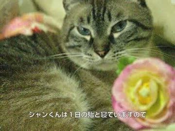 ジャンくんのリラックスタイム