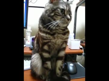 【疑似m@s】至福の地獄から離さない猫春香