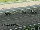 第11回金沢スプリントカップ（東海・近畿交流） サミットストーン