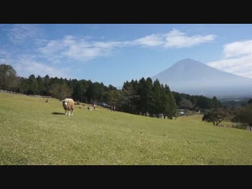U2Drive 富士山麓の謎を解け 第８章：朝霧高原