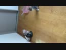 箒が好きか！？否、興味が無いか？！