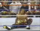 Shawn Michaels vs Hunter Hearst Helmsley (2/2)