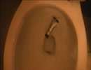 アフターシェイブローションをトイレに流してみた
