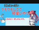 【ポケモンＢＷ２】紗凪とぱんにゃでランフリ！【part4】