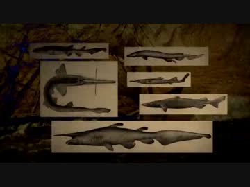 深海ザメの世界 (01 of 02)