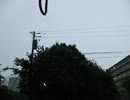 雷を撮影したよ