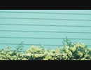 Wool Strings - water on water