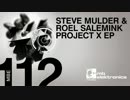Steve Mulder & Roel Salemink - Z (Original Mix)