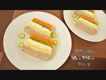 犬のごはん　鶏と野菜のテリーヌ
