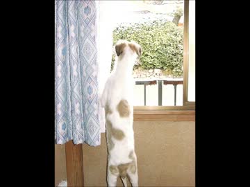 ［バイクに恋、しました］ その３ ～美肌への道は雨に濡れ～