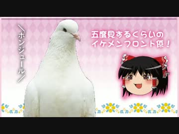 【ゆっくり旅行記2013-2】ほぼ雑談ヨーロッパ時々サッカー観戦の旅:瑞独仏