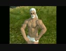 【新生FF14】キャラクターメイキング怒りの髪色192色をまとめてみた。