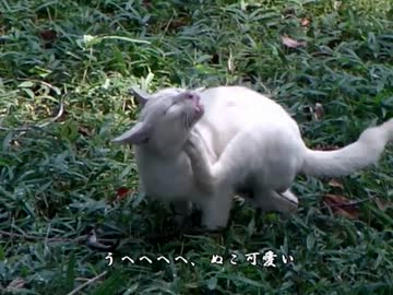 【ゆっくり】鉄道で日本一周part23【広島・山口】